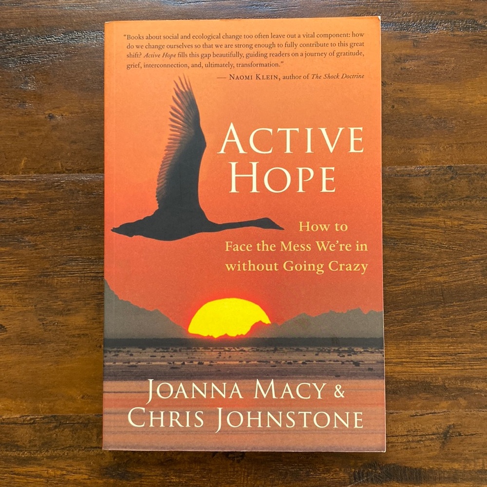 Active Hope How to Face the Mess We’re in w/out Going Crazy Paperback